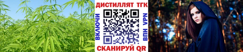 Купить где  Всеволожск  Дистиллят ТГК гашишное масло 