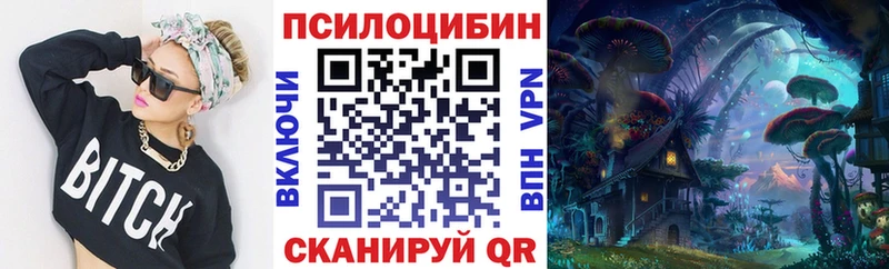 Галлюциногенные грибы GOLDEN TEACHER  Купить где  Всеволожск 