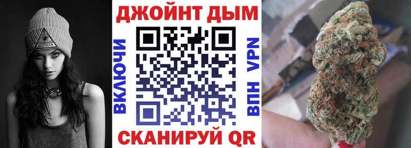 Купить закладки  Всеволожск  Бошки марихуана сатива 